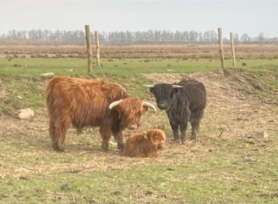 Bed and Breakfast 'T Huske Werkendam Zewnętrze zdjęcie